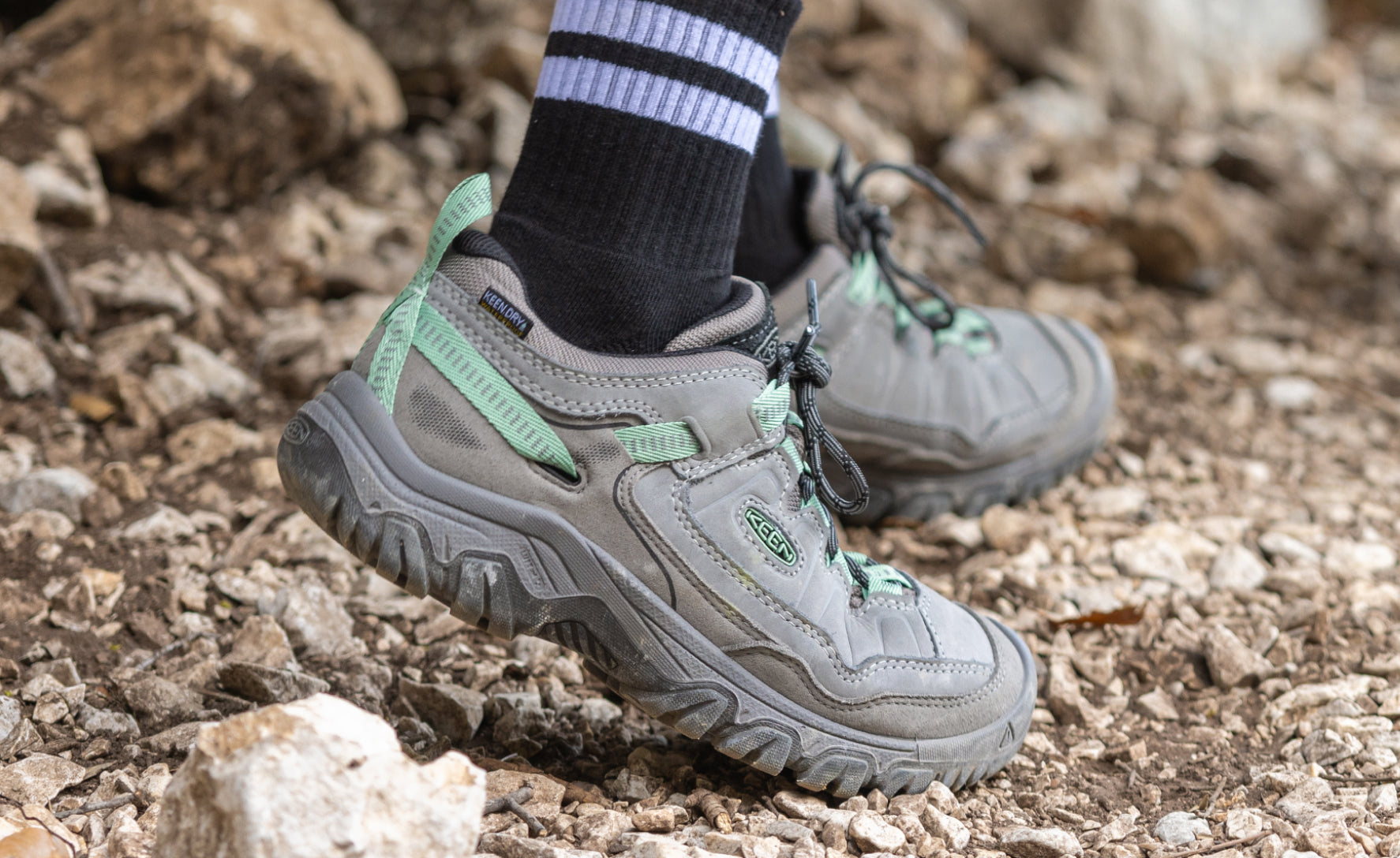 Women's Targhee IV Waterproof Hiking Shoe Brindle/Nostalgia Rose / Keen