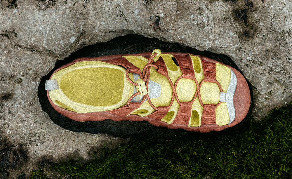 Men's Hyperport H2 Sandal x Hiking Patrol Algae Green / Keen