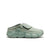 Iceberg Green