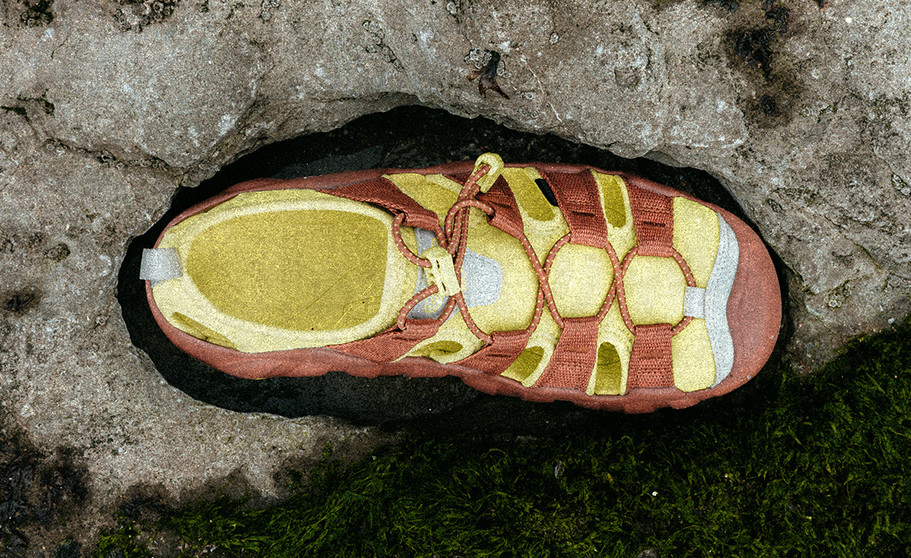 Women's Hyperport H2 Sandal x Hiking Patrol Algae Green / Keen