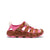 Okenia Pink